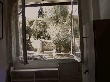 thumb_14_patriarchou2.jpg 