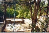 thumb_17_chios_volissos_03.jpg 