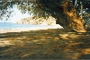 thumb_17_chios_volissos_04.jpg 